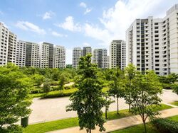 Blk 458B Fernvale Woods (Sengkang), HDB 4 Rooms #581960211
